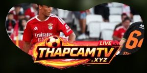 Dự Đoán Trận Benfica Vs Viseu 02h30 10/08